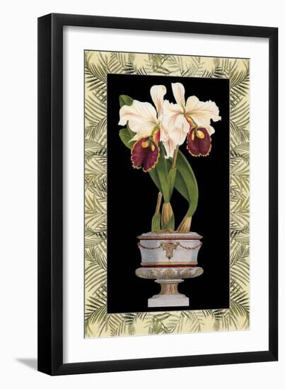 Orchid in Urn II-Deborah Bookman-Framed Art Print