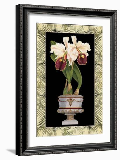 Orchid in Urn II-Deborah Bookman-Framed Art Print