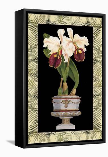 Orchid in Urn II-Deborah Bookman-Framed Stretched Canvas