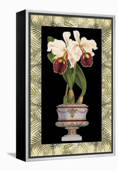 Orchid in Urn II-Deborah Bookman-Framed Stretched Canvas