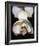 Orchid Light - Bud-Tony Koukos-Framed Giclee Print