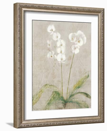 Orchid Light-Cheri Blum-Framed Art Print