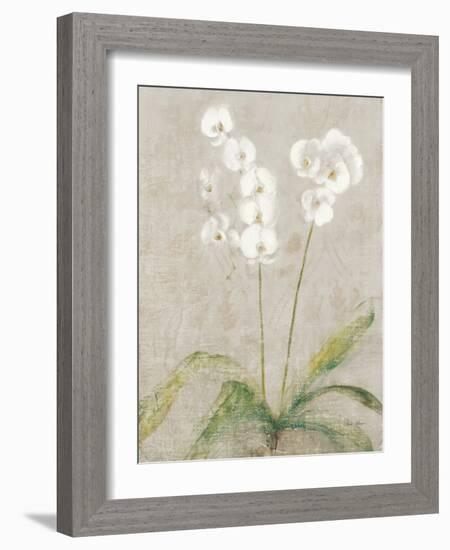 Orchid Light-Cheri Blum-Framed Art Print