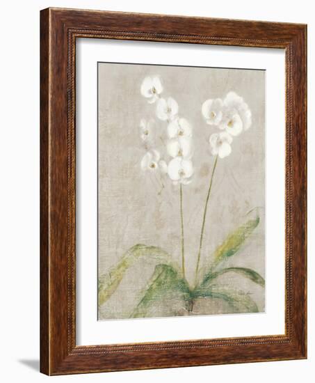 Orchid Light-Cheri Blum-Framed Art Print