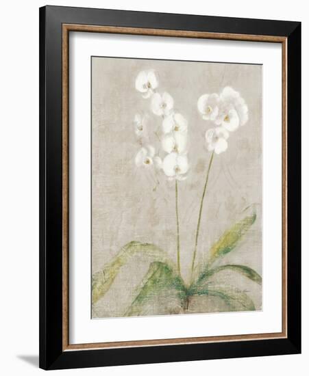 Orchid Light-Cheri Blum-Framed Art Print