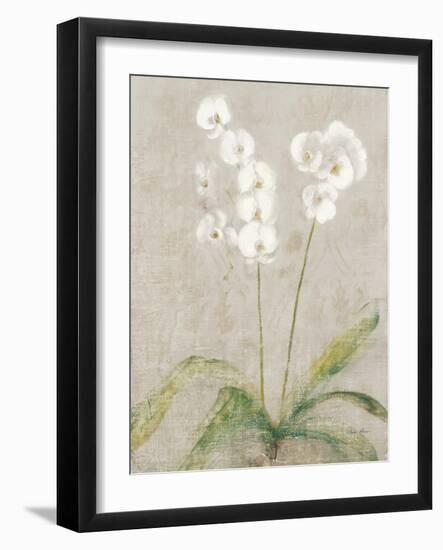 Orchid Light-Cheri Blum-Framed Art Print