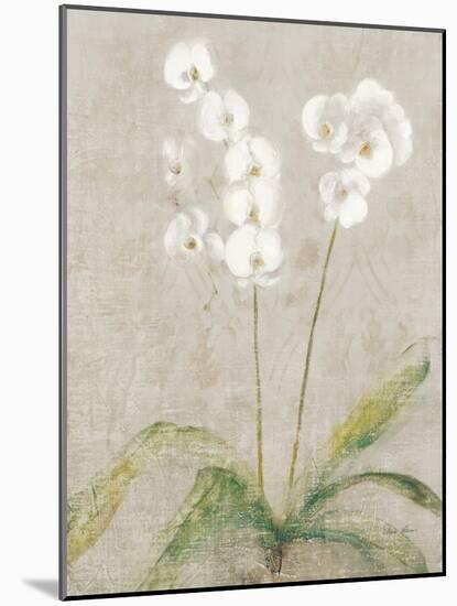 Orchid Light-Cheri Blum-Mounted Art Print