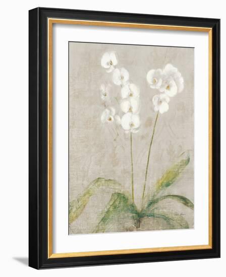 Orchid Light-Cheri Blum-Framed Art Print