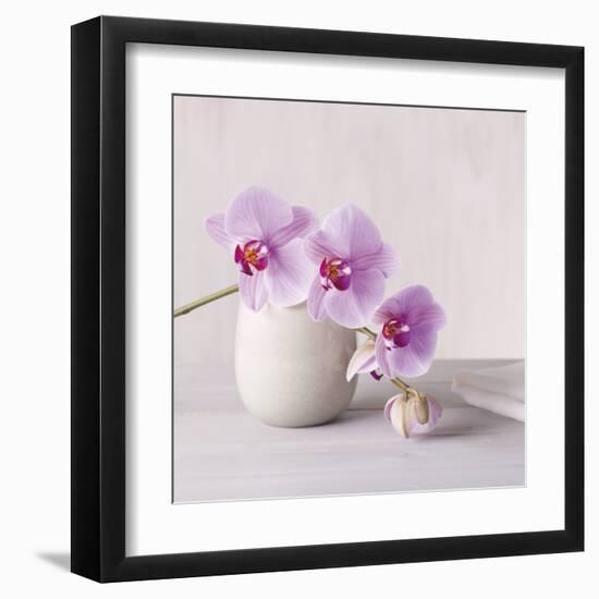 Orchid - Love-Assaf Frank-Framed Giclee Print