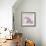 Orchid - Love-Assaf Frank-Framed Giclee Print displayed on a wall