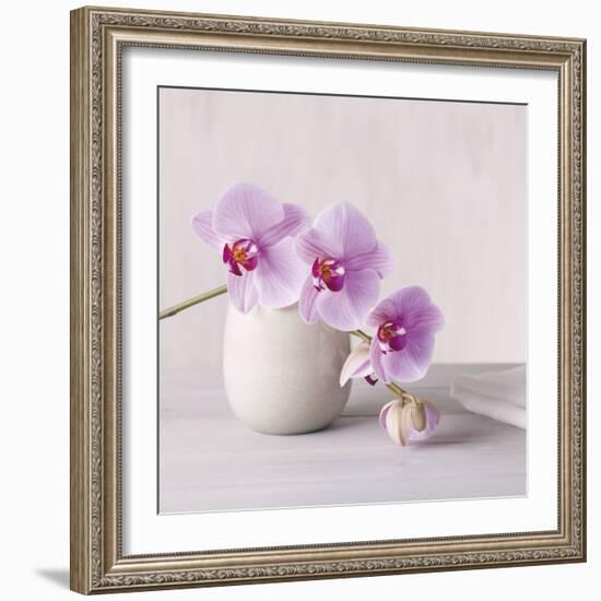 Orchid - Love-Assaf Frank-Framed Giclee Print