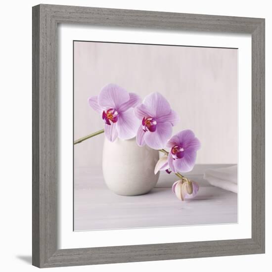 Orchid - Love-Assaf Frank-Framed Giclee Print