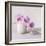 Orchid - Love-Assaf Frank-Framed Giclee Print