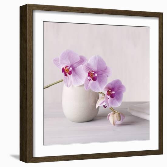 Orchid - Love-Assaf Frank-Framed Giclee Print