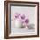 Orchid - Love-Assaf Frank-Framed Giclee Print