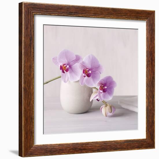 Orchid - Love-Assaf Frank-Framed Giclee Print