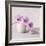 Orchid - Love-Assaf Frank-Framed Giclee Print