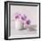 Orchid - Love-Assaf Frank-Framed Giclee Print