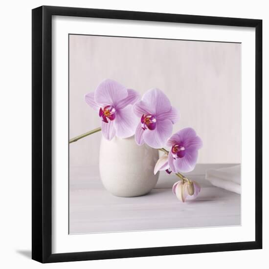 Orchid - Love-Assaf Frank-Framed Giclee Print