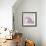 Orchid - Love-Assaf Frank-Framed Giclee Print displayed on a wall