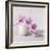 Orchid - Love-Assaf Frank-Framed Giclee Print