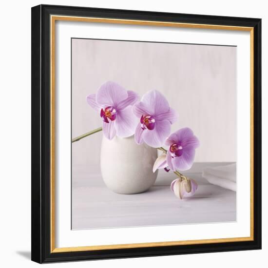 Orchid - Love-Assaf Frank-Framed Giclee Print