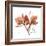 Orchid Love-Albert Koetsier-Framed Premium Giclee Print