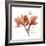 Orchid Love-Albert Koetsier-Framed Premium Giclee Print