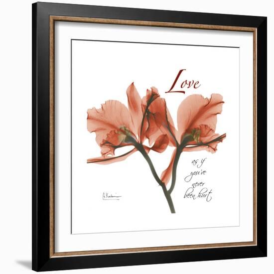 Orchid Love-Albert Koetsier-Framed Premium Giclee Print