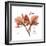 Orchid Love-Albert Koetsier-Framed Premium Giclee Print