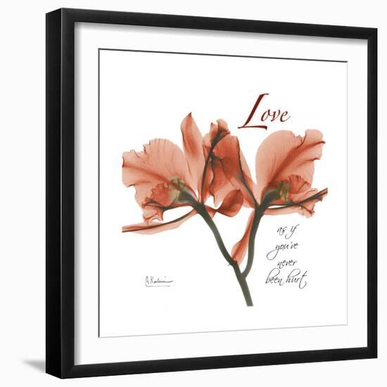 Orchid Love-Albert Koetsier-Framed Premium Giclee Print