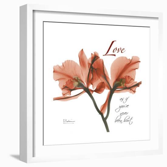 Orchid Love-Albert Koetsier-Framed Premium Giclee Print