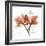 Orchid Love-Albert Koetsier-Framed Premium Giclee Print