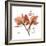 Orchid Love-Albert Koetsier-Framed Premium Giclee Print