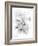 Orchid Magena-Maria Trad-Framed Giclee Print