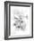 Orchid Magena-Maria Trad-Framed Giclee Print