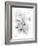 Orchid Magena-Maria Trad-Framed Giclee Print