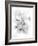 Orchid Magena-Maria Trad-Framed Giclee Print