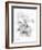 Orchid Magena-Maria Trad-Framed Giclee Print