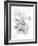 Orchid Magena-Maria Trad-Framed Giclee Print