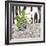 Orchid Mosaic I-Susan Brown-Framed Giclee Print