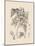 Orchid on Khaki IV-Samuel Curtis-Mounted Art Print