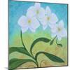 Orchid Opus-Herb Dickinson-Mounted Photographic Print