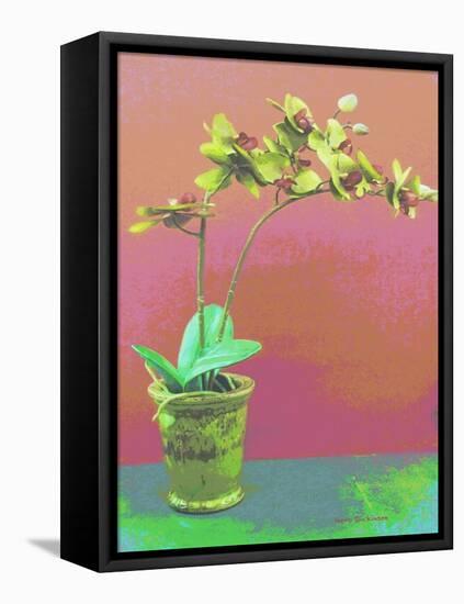 Orchid Opus-Herb Dickinson-Framed Premier Image Canvas