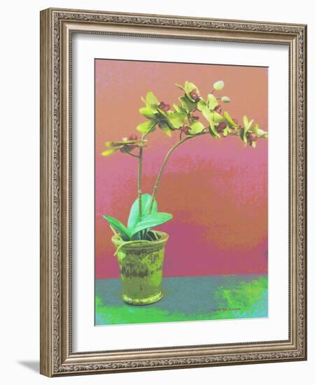 Orchid Opus-Herb Dickinson-Framed Photographic Print