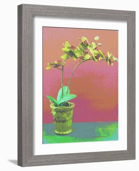 Orchid Opus-Herb Dickinson-Framed Photographic Print