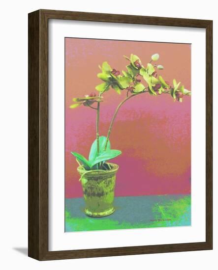 Orchid Opus-Herb Dickinson-Framed Photographic Print