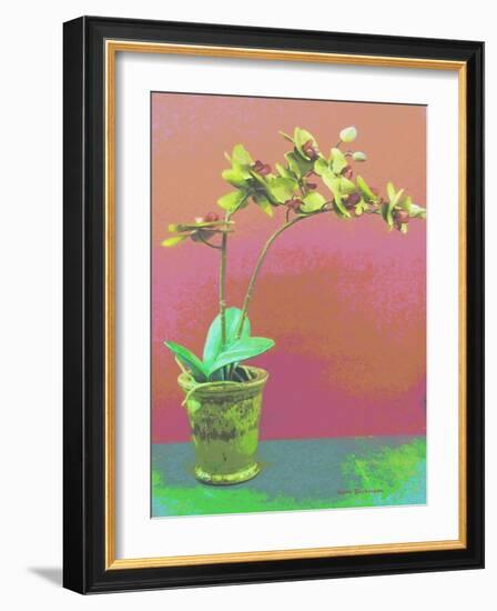 Orchid Opus-Herb Dickinson-Framed Photographic Print