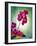 Orchid, Orchidacea, Flower, Blossoms, Plant, Still Life, Green, Pink-Axel Killian-Framed Photographic Print