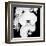 Orchid Portrait I-Jeff Maihara-Framed Giclee Print